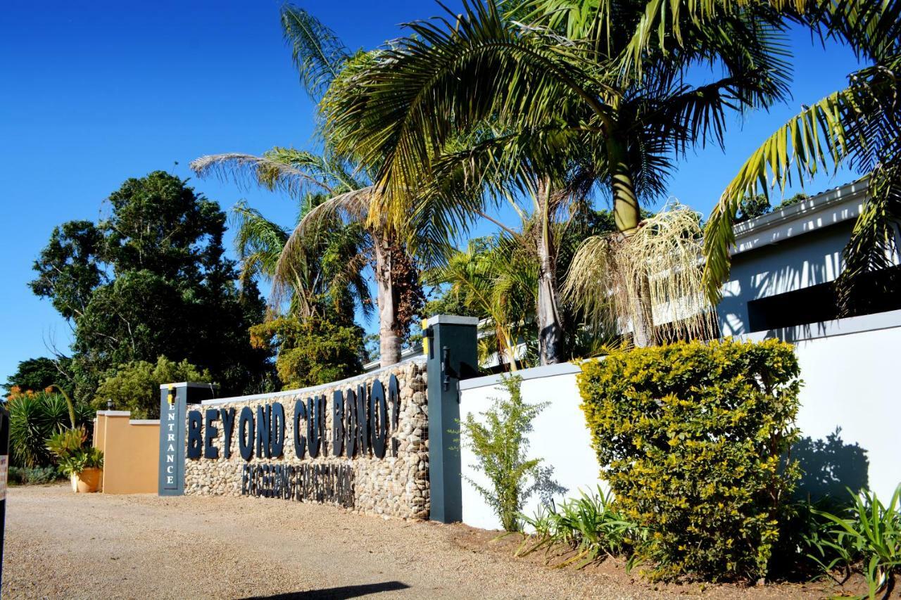 Beyond Cui Bono Guesthouse Addo Exteriör bild